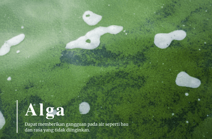 Karakteristik Air Limbah