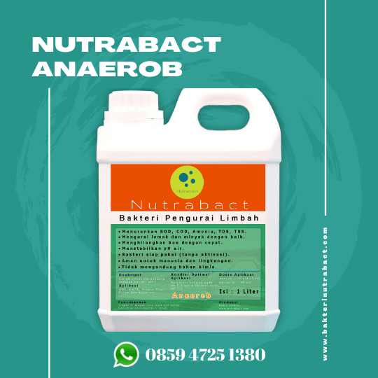 jual bakteri pengurai limbah di Bandung